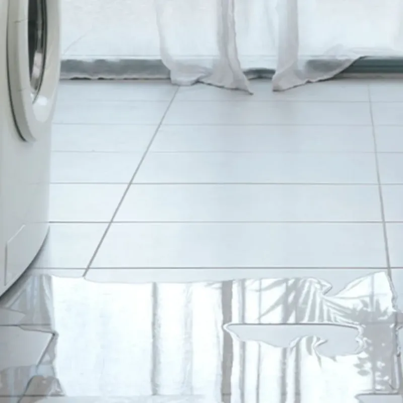 Appliance Leak Cleanup in Riverside, MO