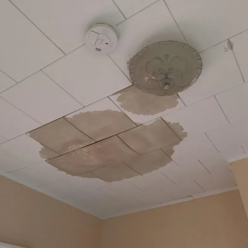 Ceiling Water Damage Repair in Riverside, MO