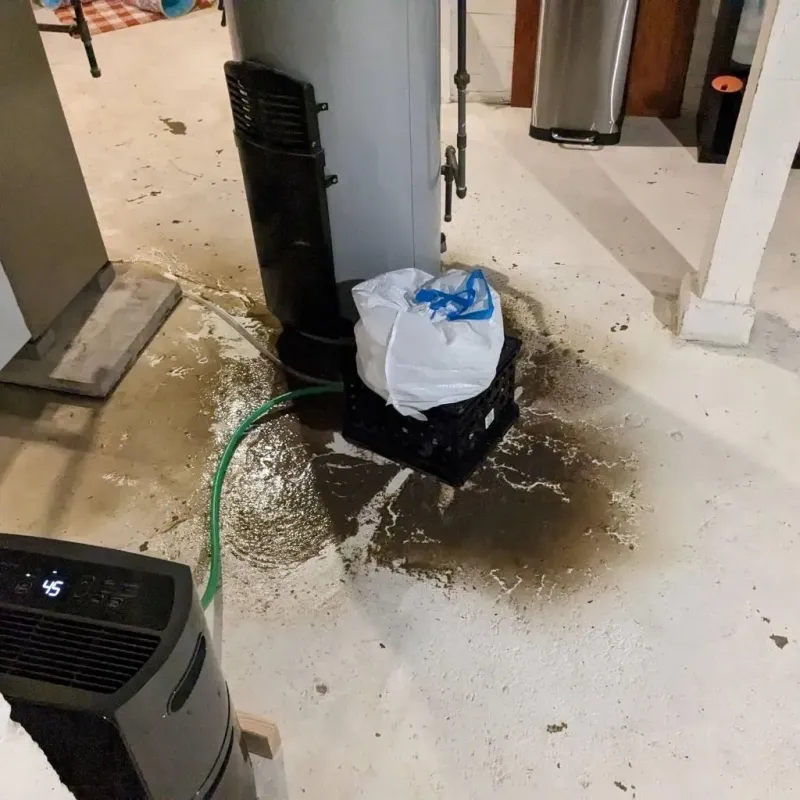 Sewage Backup Cleanup Service in Riverside, MO